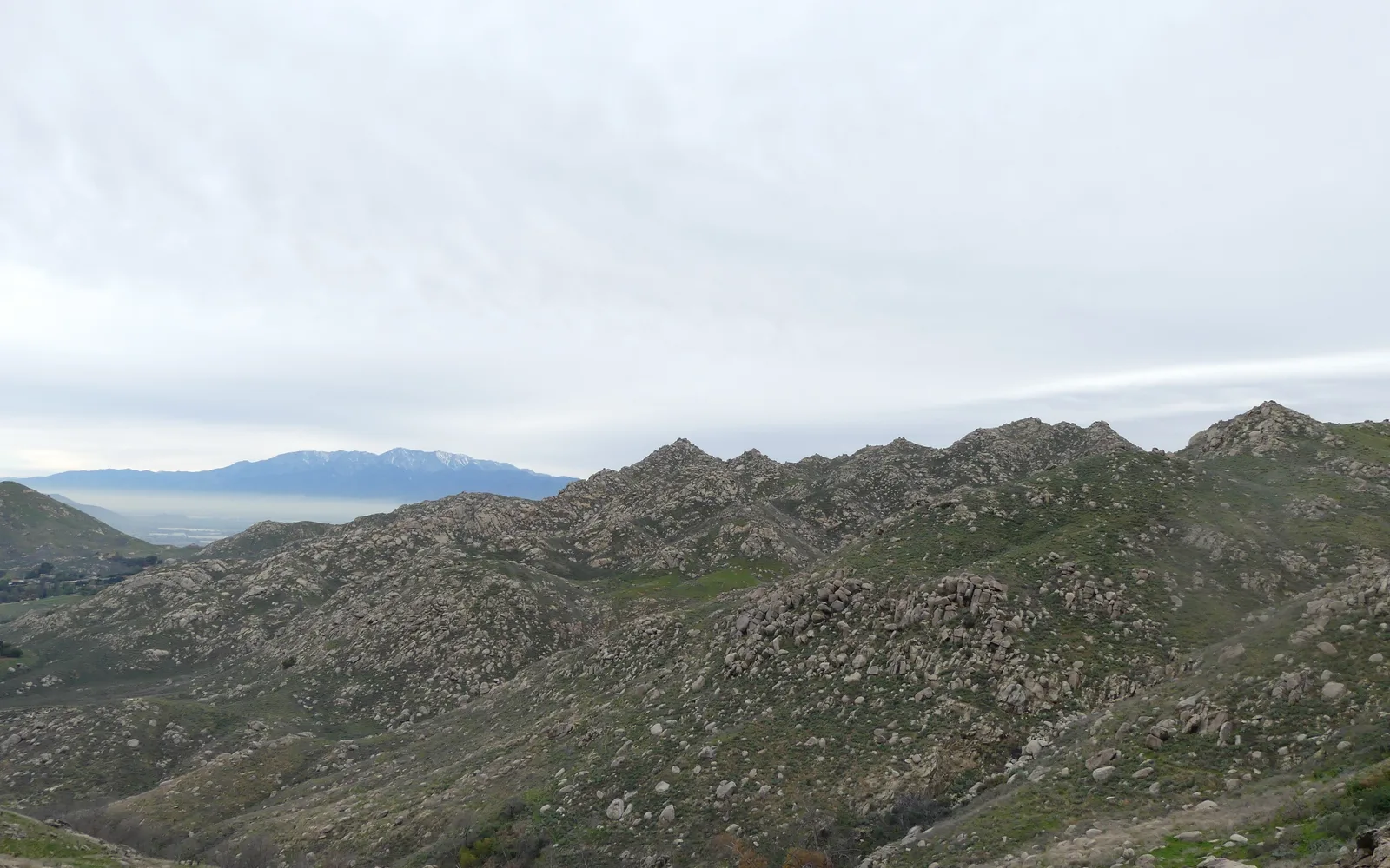 Rugged hills of Box Springs Mountain Reserve in Riverside County with coastal sage scrub vegetation, viewed from the Two Trees Trail